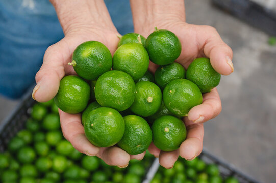 Limones