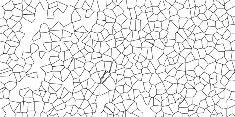 Obraz premium Black and white abstract geometric pattern of irregular polygonal cells and lines on a white background for science or cellular biology concepts