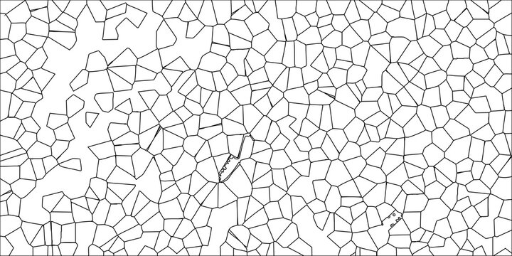 Black and white abstract geometric pattern of irregular polygonal cells and lines on a white background for science or cellular biology concepts