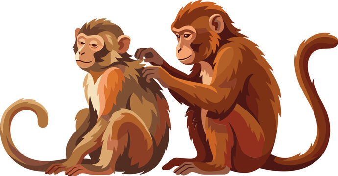 Pair of monkeys engaged in social grooming behavior
