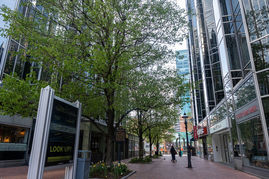 Market Square in Downtown Pittsburgh Shows Trees and Tall Buildings on a Cloudy Day With People Walking