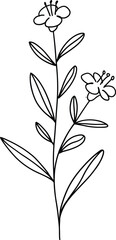 Fototapeta premium Minimal flower line art vector botanical illustration simple floral branch outline design isolated element