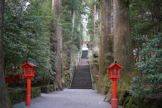 Traditional red lanterns along a serene gravel pathway and stone stairs ascending through tall green trees toward a vibrant vermilion Torii gate at Hakone Jinja shrine in Japan