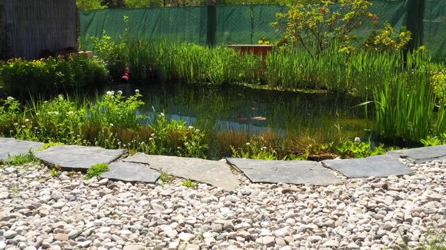 Root wastewater treatment plant as a garden pond. Relaxation zone with fish farming in an organic garden from above. Sustainable development in gardening and aquaculture.