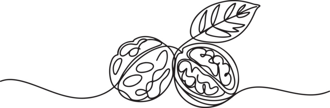 Continuous one line drawing whole walnut, half opened, just the kernel, leaves. Ideal weight maintaining snack for those who consume.one line Art icon drawing vector