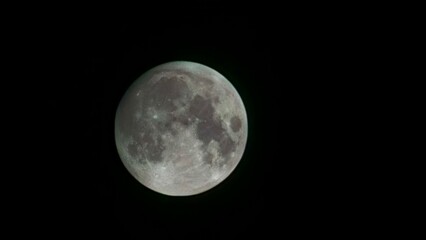 Fototapeta premium Full Moon Close-Up with Detailed Craters on Black Night Sky Background