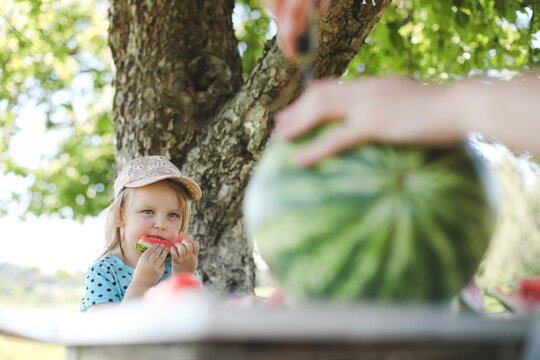 cute little girl eating watermelon outdoors in summertime. Child and watermelon in summer. 