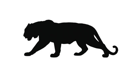 Obraz premium Tiger silhouette stands isolated against a stark white background to convey a sense of predatory grace and raw power in this minimalist graphic design element suitable for various creative projects.