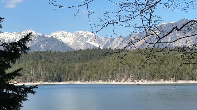Montagne innevate su foresta tedesca davanti al lago