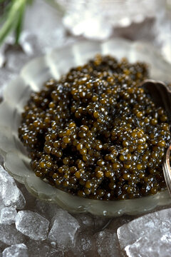 Black caviar. An exquisite snack. Caviar is on ice. Natural omega.