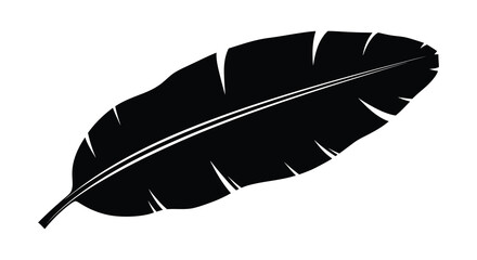 feather silhouette on white background high quality professional detailed modern elegant © AL-AMIN