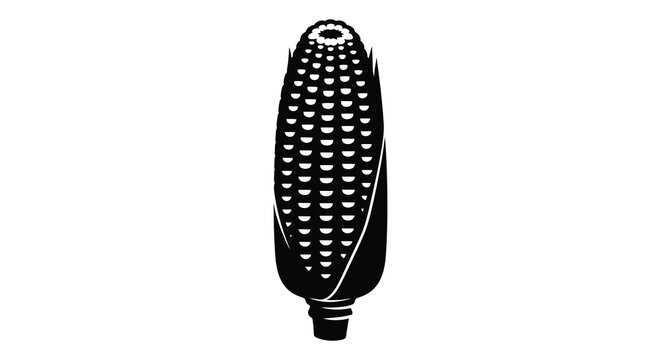 corn cob silhouette on white background high quality professional detailed modern