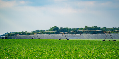 Irrigation system. Agricultural cultivation with watering and sprinkler technology. Agricultural irrigation system. Sprinkler equipment in the field. Irrigation and watering system in farmland © Volodymyr