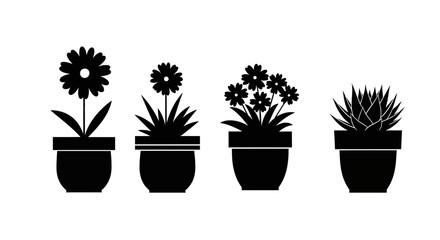 Obraz premium design botanical minimalist white icons flat graphics black plants