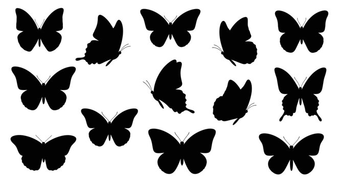 insects graphic resource graphics animals design element white black