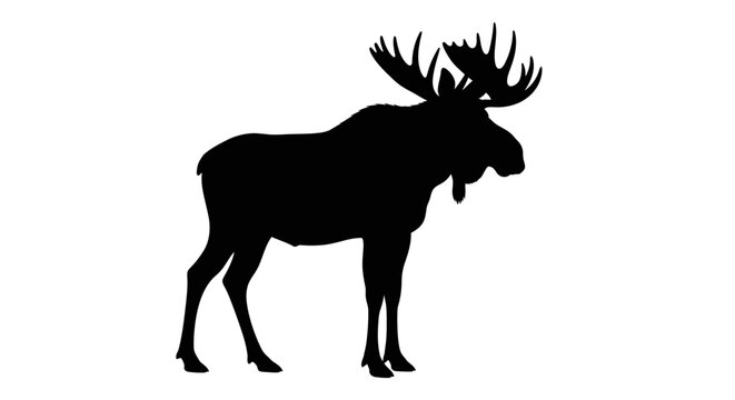 Moose silhouette against a white background side view