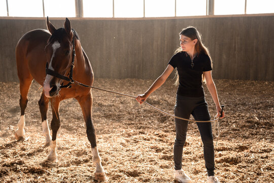 Teenage girl leading her horse horse bridle in indoor arena during training. Concept of trust, animal bonding and equestrian lifestyle, responsibility and passion for animals.
