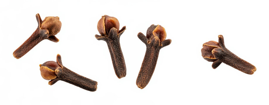 Four dried whole clove spice buds, isolated on a white background, for culinary use