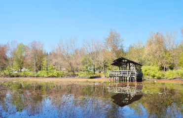 Obraz premium Fishtrap Creek Park during a spring season in Abbotsford, British Columbia, Canada