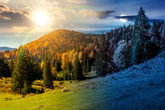 day meet night. fir trees on a meadow down the hill to coniferous forest in mountains of Romania nature. sun and moon over view of remote colorful forest at the foot of a mountain in autumn