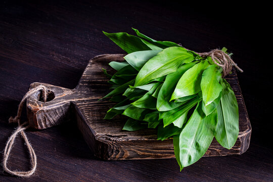 Ramson or wild garlic leaves tied with rope on a rustic wooden board. Healthy organic spring greens for cooking, rich in vitamins, on dark background.