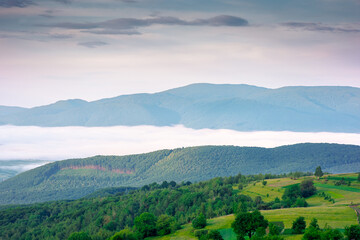 Fototapeta premium mountainous rural area of transcarpathia during springtime. remote mountain landscape with forested rolling hills. foggy morning in wonderful place of alpine countryside wallpaper