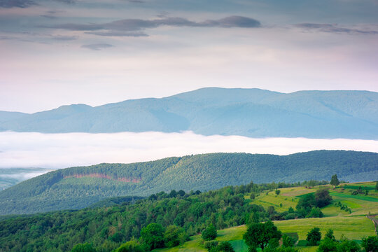 mountainous rural area of transcarpathia during springtime. remote mountain landscape with forested rolling hills. foggy morning in wonderful place of alpine countryside wallpaper