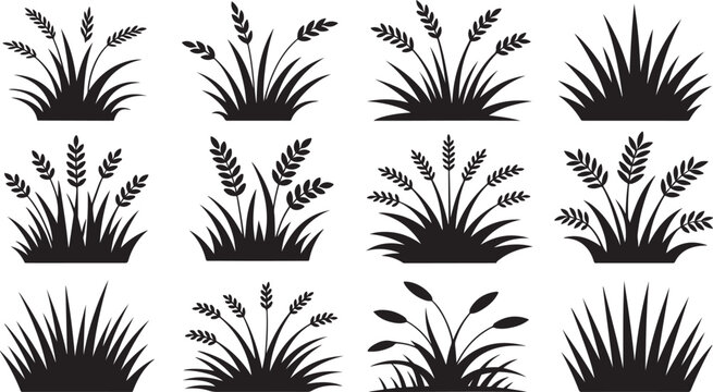 A collection of black and white illustrations depicting various types of grass and wheat stalks, perfect for natural and agricultural designs