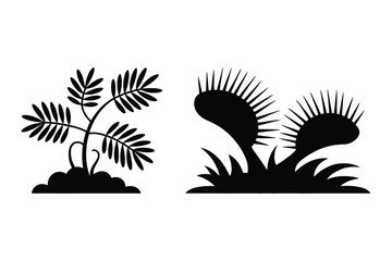 Venus flytrap and sensitive plant black silhouette vector illustration © Roney
