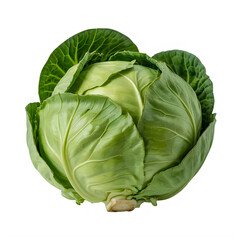 Fototapeta premium Fresh green cabbage vegetable with large leaves healthy eating transparent background