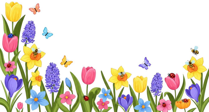 Spring flower png Colorful tulip cutout Yellow daffodil png Garden insect cutout Purple hyacinth png Bright blossom cutout Nature border png Meadow plant isolated transparent background image