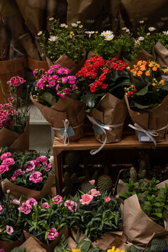 flower shop outdoor in Europe, colorful blossoms, wrapped in brown paper