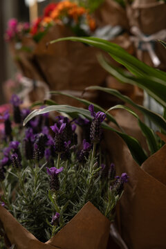 flower shop outdoor in Europe, colorful blossoms, wrapped in brown paper