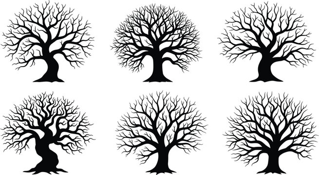 Black and white silhouettes of six leafless trees with intricate branching patterns, arranged in rows for seasonal winter nature designMobile