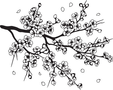 Black and white illustration of a blooming cherry blossom tree branch with falling petals isolated on white background