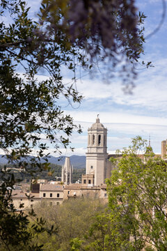 view of Girona church framed by trees in foreground, Spain
