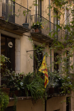 lush balcony, Girona, Spain, spanish flag, traditional building