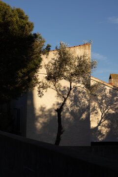 late afternoon shadows, trees, old architecture, Cadaques spain costa brava