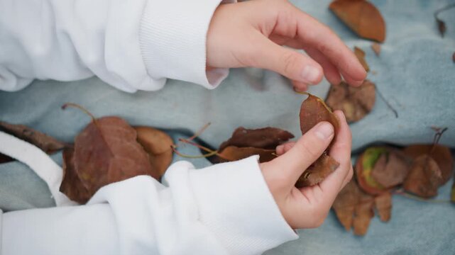 Overhead child hands sorting leaves on blanket, white sweater and scattered dry leaves on picnic cloth, playful explorer gathering and twisting stems, tactile study of color and texture, cozy outdoor