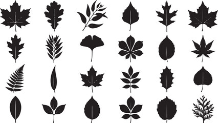 Autumn and tree leaves silhouette set featuring maple oak fern ginkgo and various botanical foliage isolated on white background for nature vector illustration collection © 403Forbidden