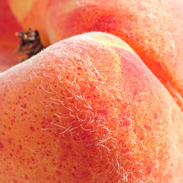 Makro jarak sangat dekat dari tekstur kulit buah persik yang berbulu dengan bintik-bintik merah