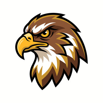 Angry Eagle Hawk Head Vector Mascot Badge