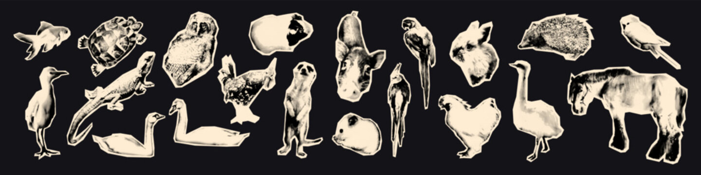 Animals halftone art collage cut outs set. Various pets, domestic, farm and wild animal vintage dot stickers collection for scrapbook and modern retro grunge mixed media design. Vector illustration