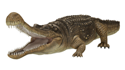Fototapeta premium 3d rendering sarcosuchus
