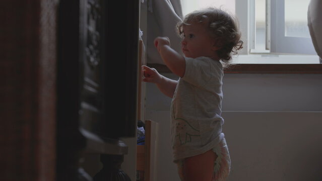 Curly haired toddler climbing small step indoors near window, exploring surroundings with curiosity and determination