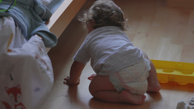 Curly haired toddler crawling on wooden floor at home, playful moment while exploring surroundings and moving towards toys