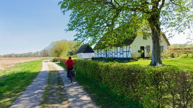 Schlei