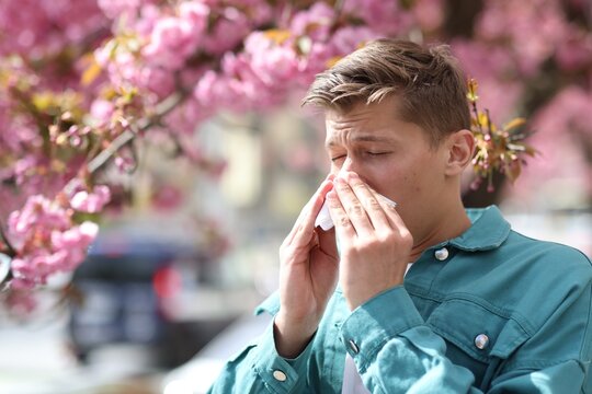 Man with paper tissue suffering from seasonal pollen allergy near blossoming tree on spring day, space for text