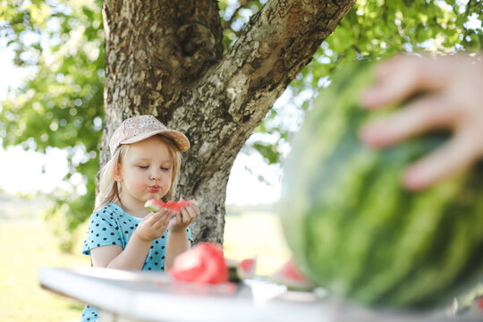 cute little girl eating watermelon outdoors in summertime. Child and watermelon in summer. 
