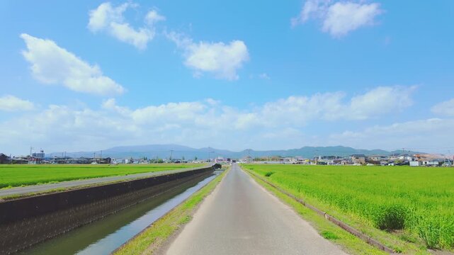 青空の下、緑の田畑の間を真っ直ぐ続く一本道